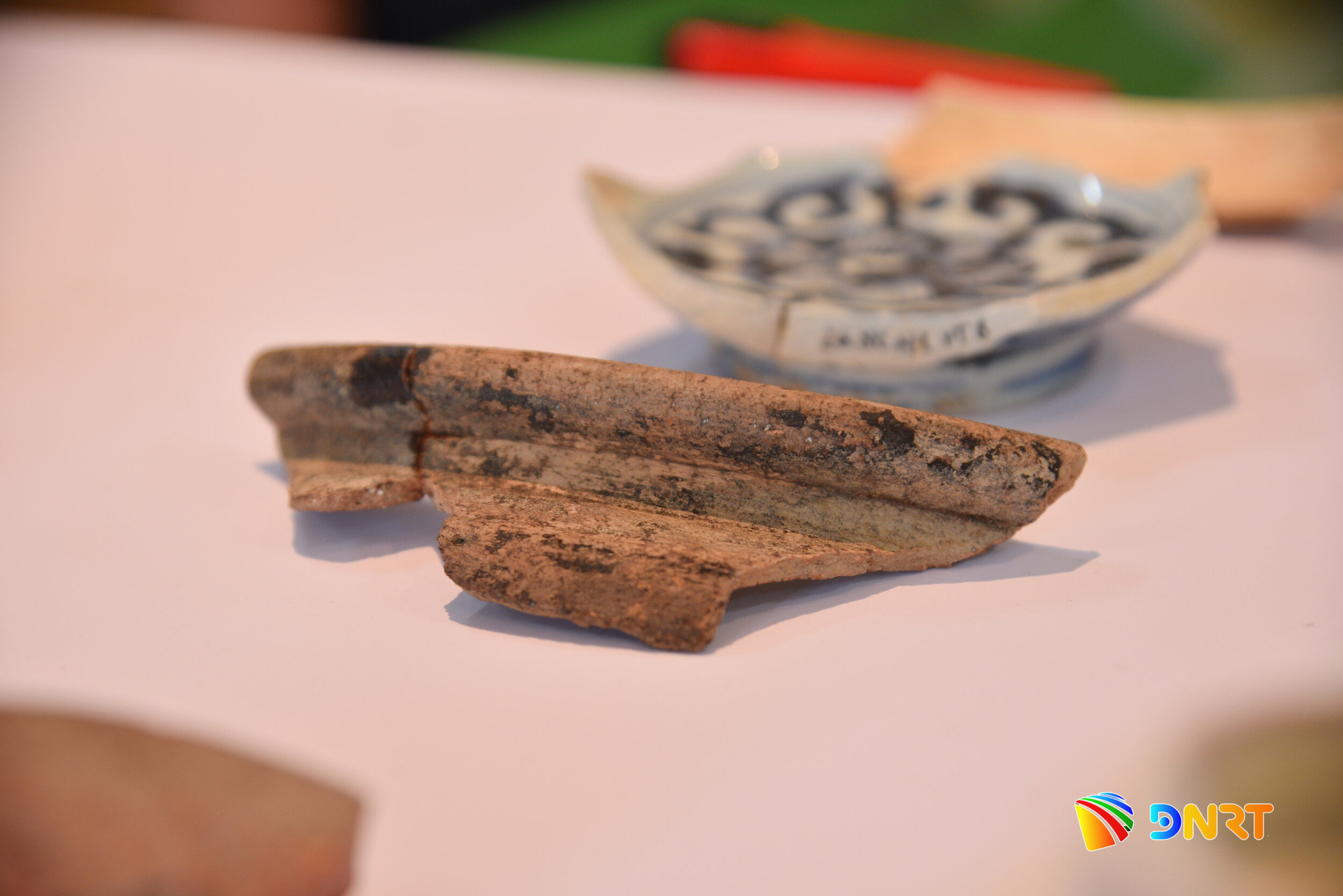 LXD_6395 (1)