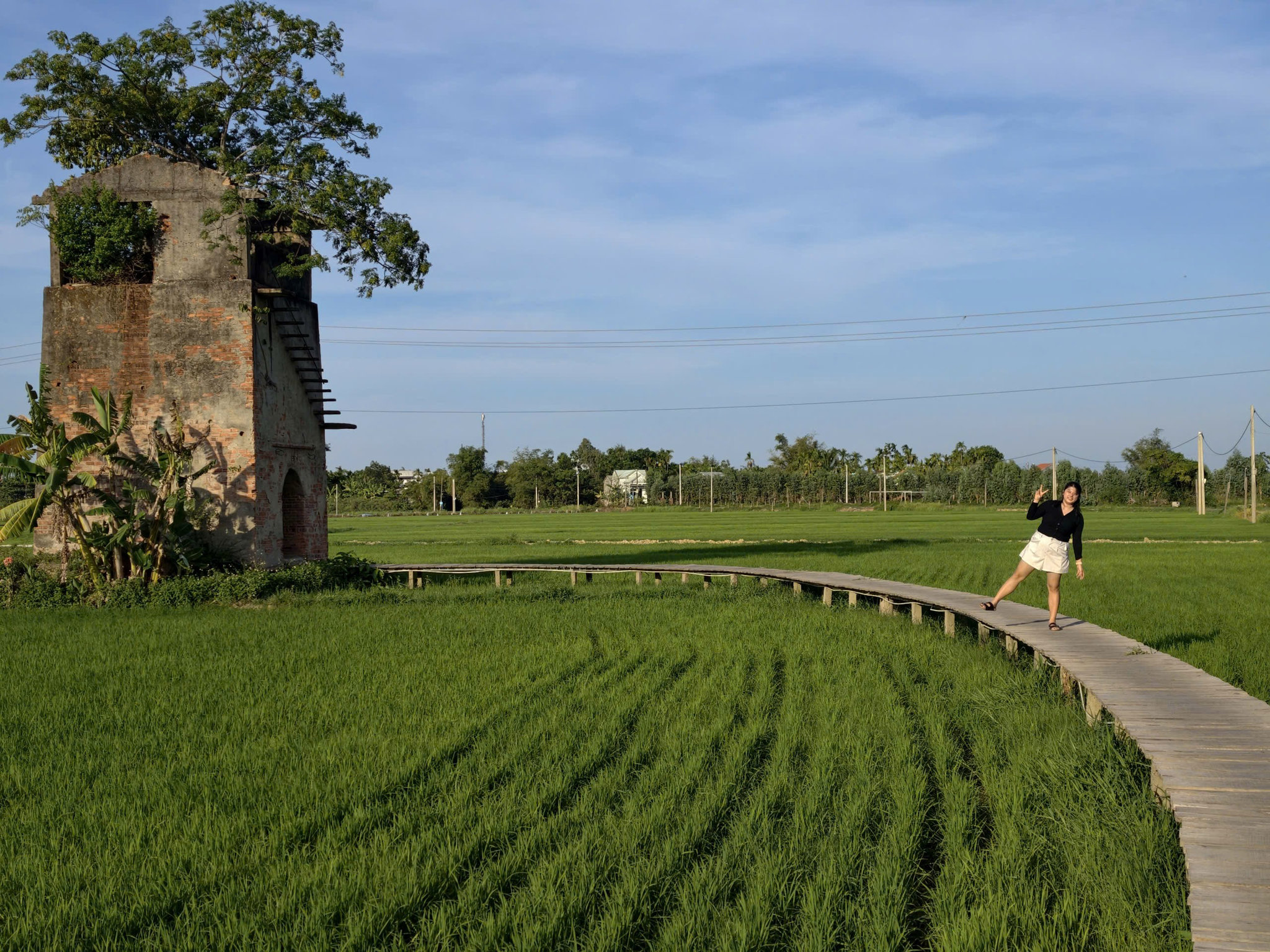 nang_dau_xu_quang_4.jpg