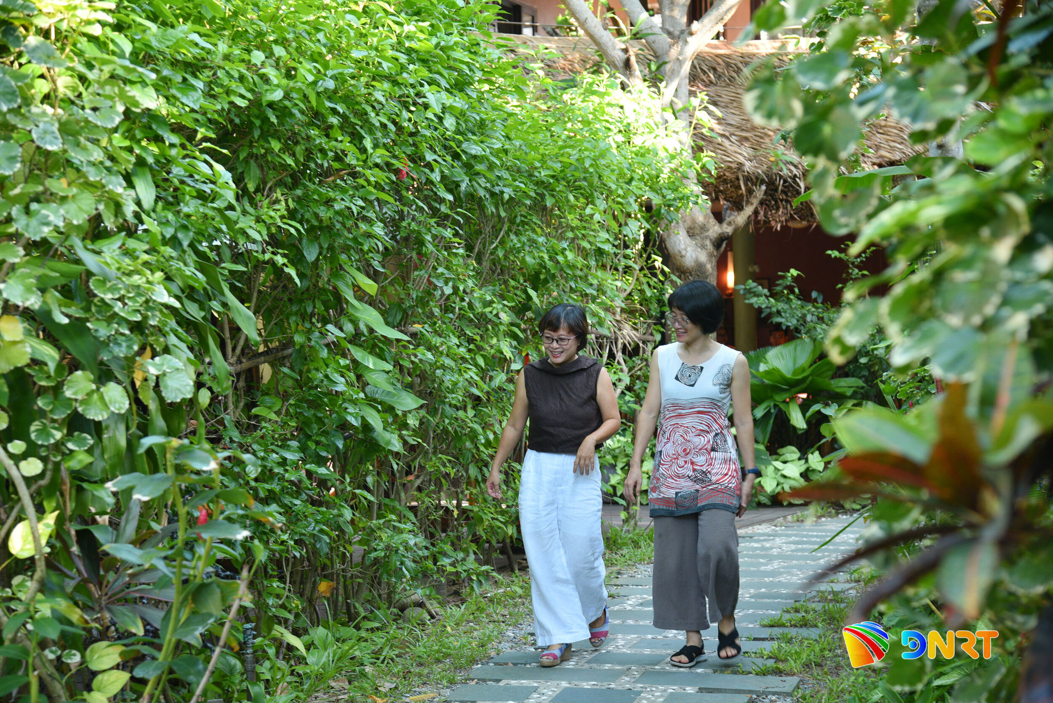 Không gian xanh tại An Villa (phường Hội An Đông). Ảnh: XUÂN DŨNG
