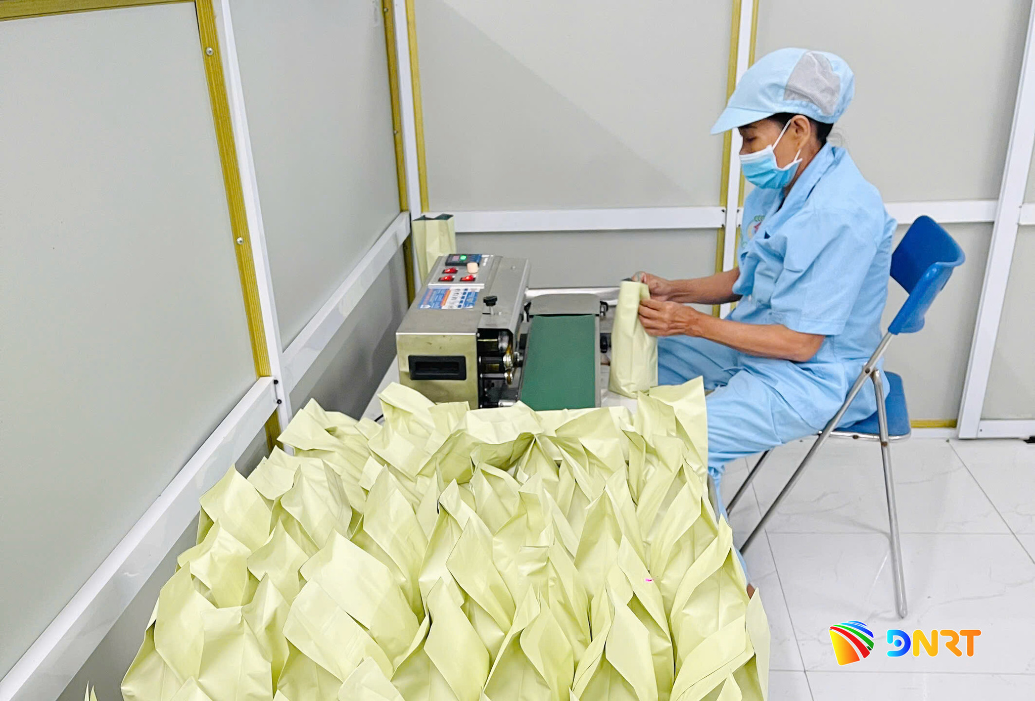 Hợp tác xã Nông nghiệp xanh Duy Oanh đang nỗ lực chuẩn bị cho đợt thương mại cao điểm cuối năm nay