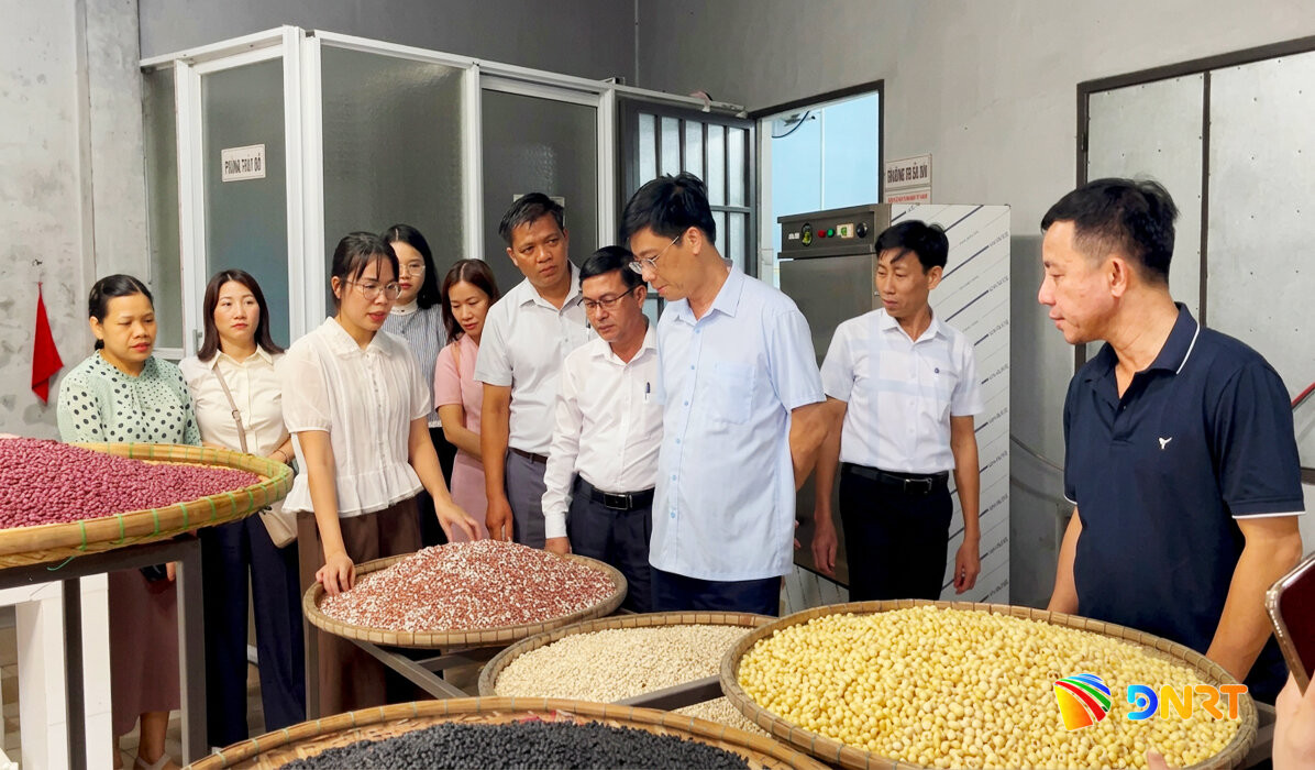 Hợp tác xã Nông nghiệp xanh Duy Oanh luôn có kế hoạch trích trữ nguyên liệu để duy trì nhịp sản xuất