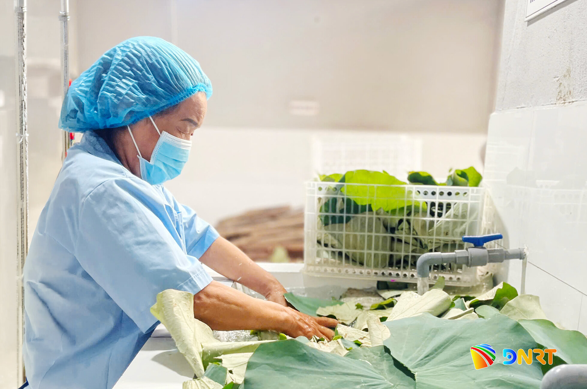 Nhiều nguyên liệu nhập về Hợp tác xã Nông nghiệp xanh Duy Oanh sẽ được sơ chế cẩn thận để bảo quản lâu dài