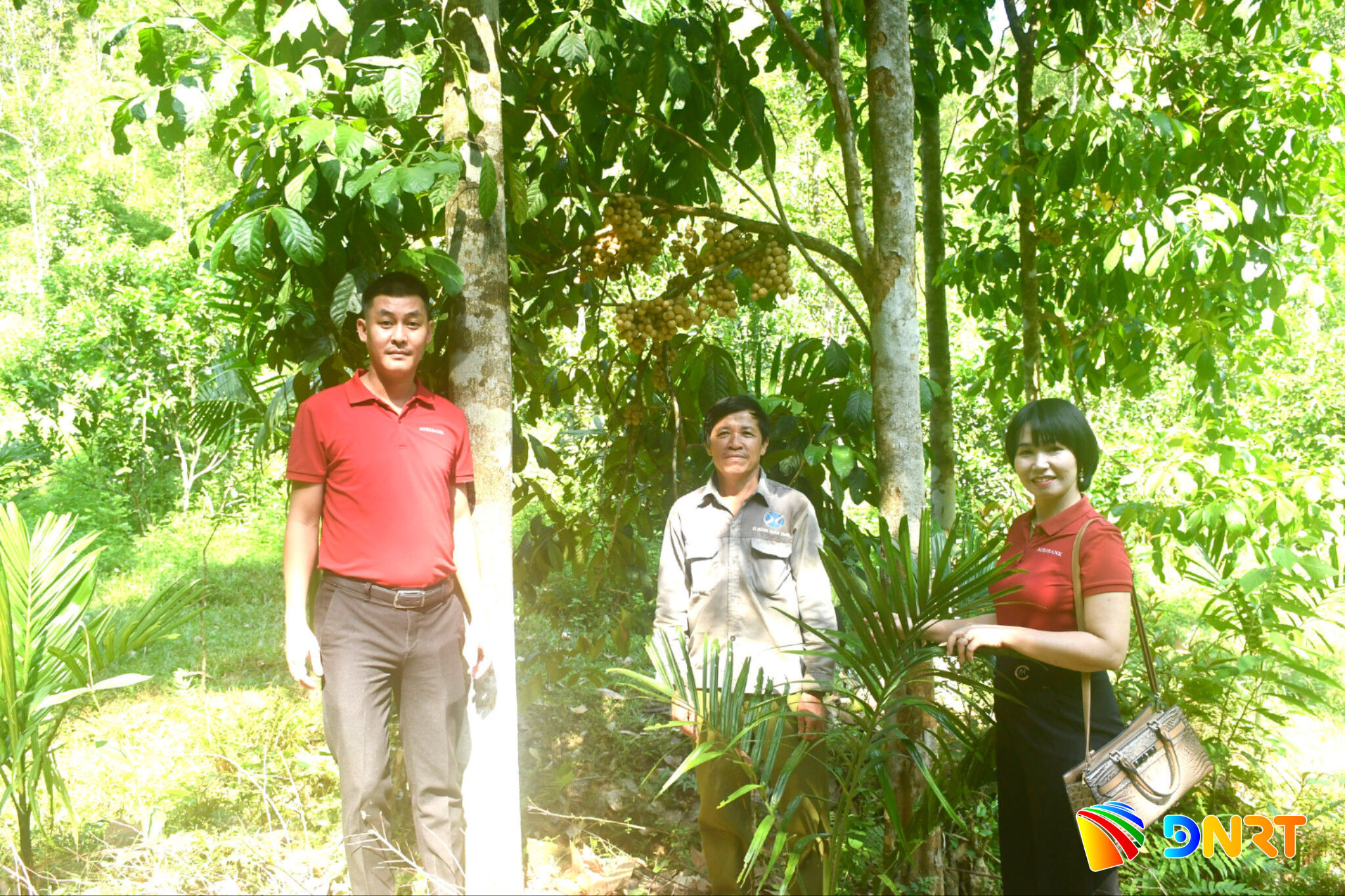 ngan-hang-3.jpg
