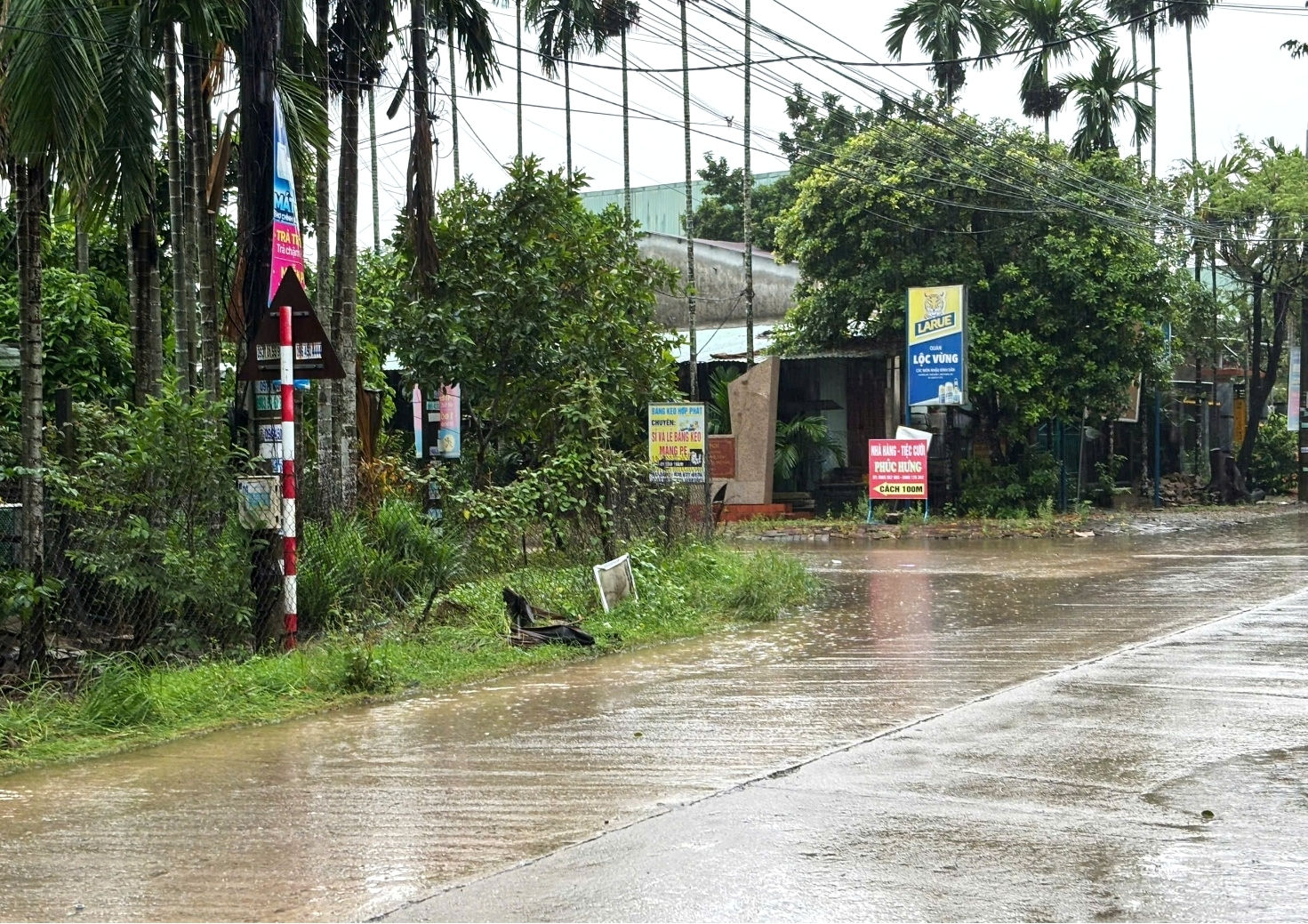 picture2.jpg