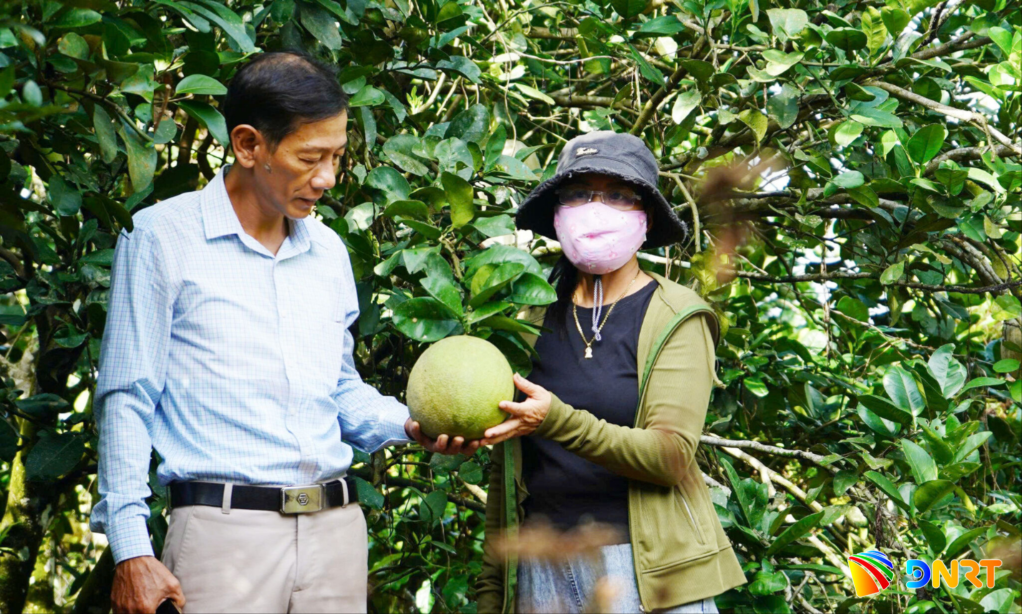 lanh-dao-trung-tam-cung-ung-dich-vu-su-nghiep-cong-xa-que-phuoc-kiem-tra-tinh-hinh-dich-hai-tai-cac-vuon-cay-an-qua-tren-dia-ban.jpg