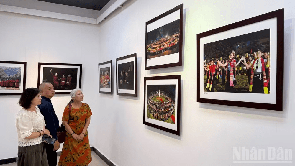 exhibition.png