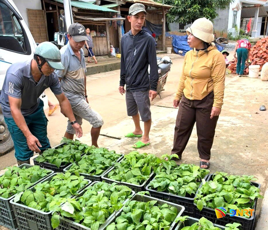 xa-dong-giang-cap-giong-bay-la-mot-hoa-cho-nguoi-dan-thon-la-bo(1).jpg