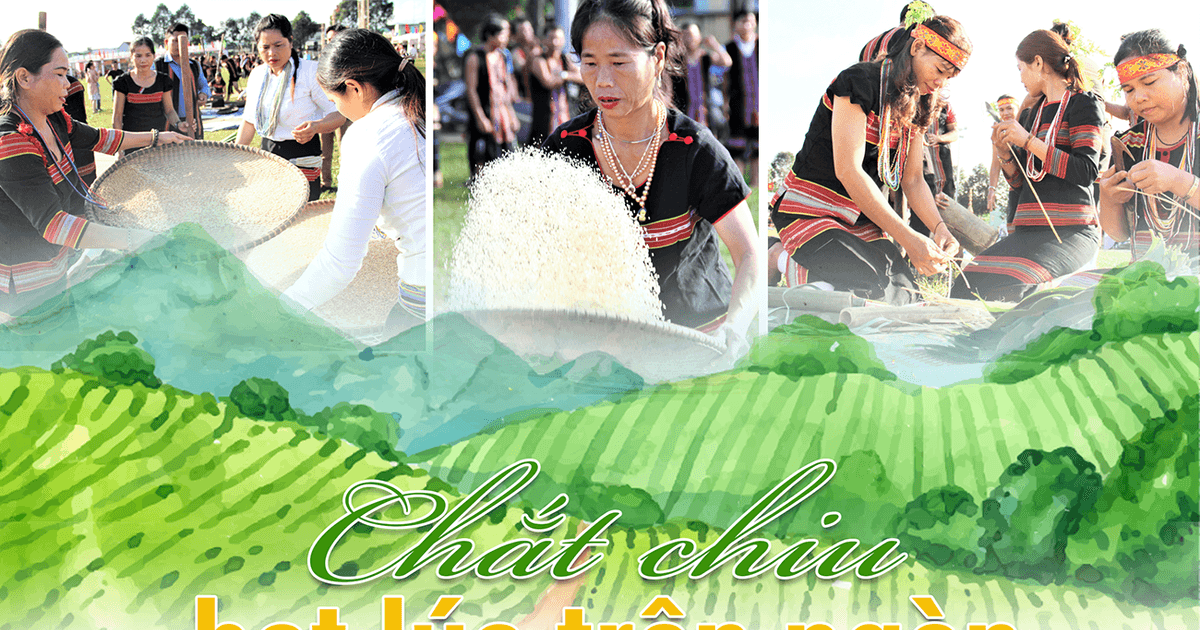 [eMagazine] - Chắt chiu hạt lúa trên ngàn