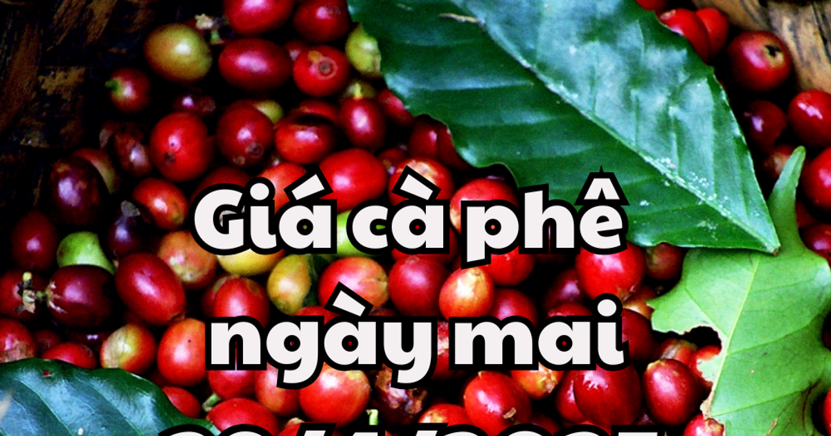 Kèo ngày mai - Dự đoán và Phân tích Thể Thao Chuyên Sâu Nhất