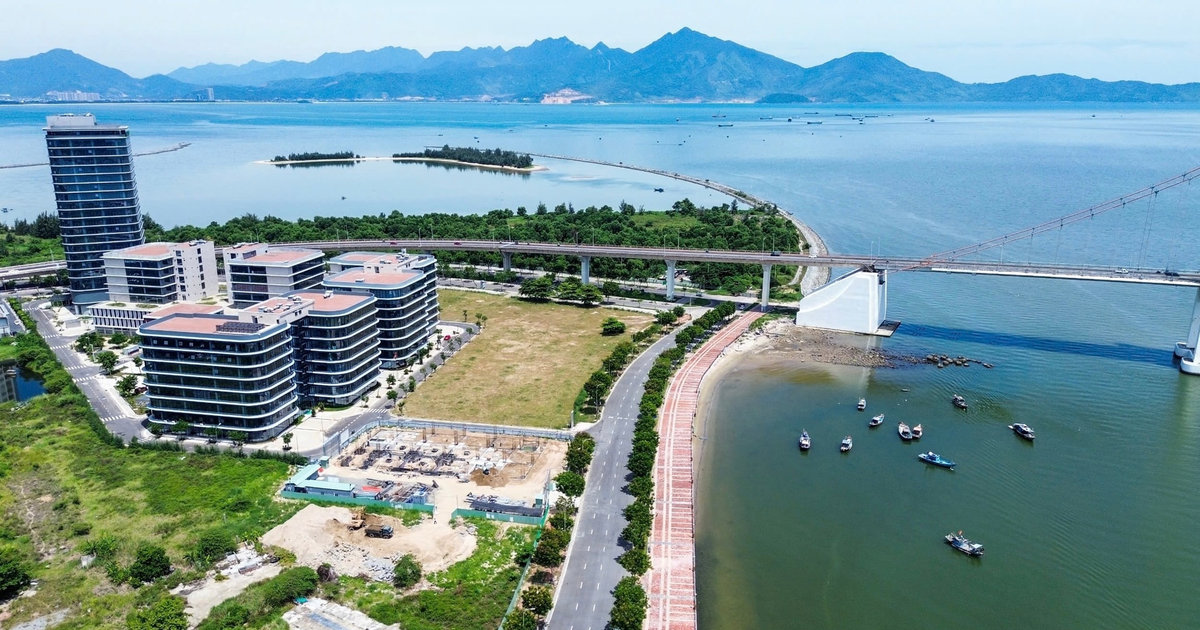 Da Nang enhances global cooperation for modern finance development