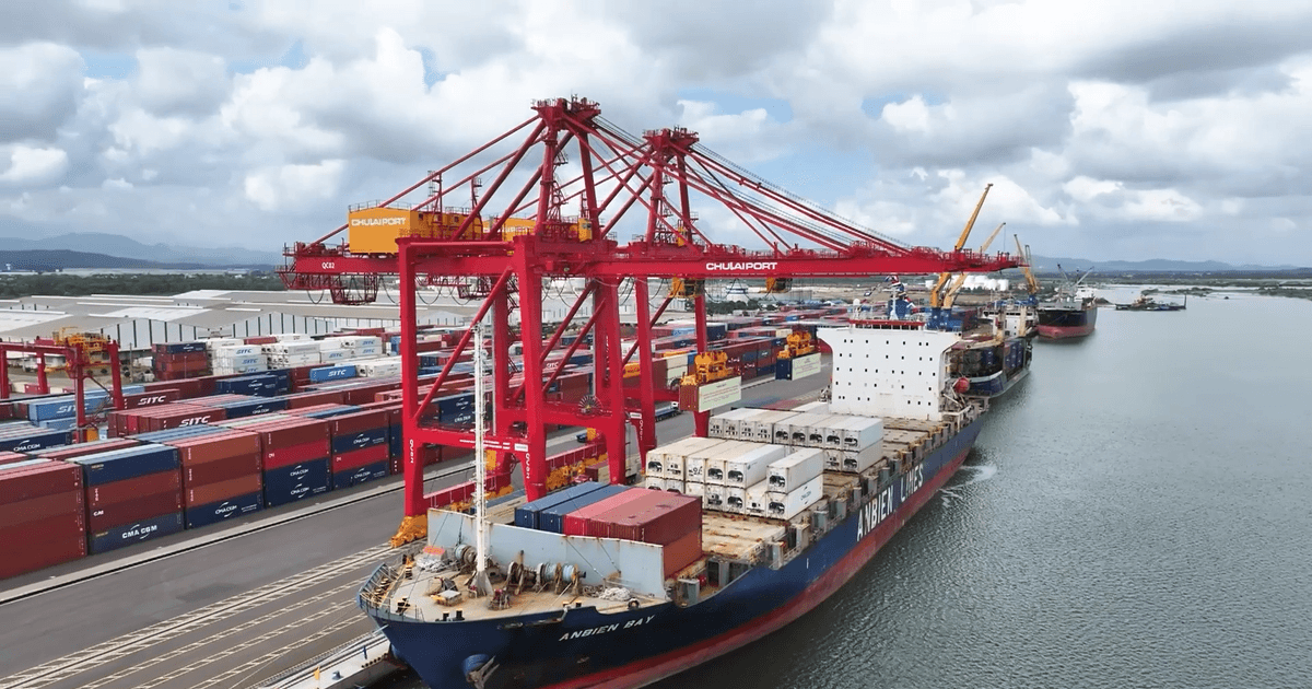 Da Nang logistics go green, digital