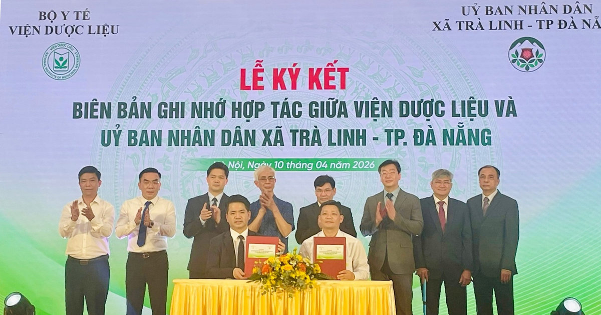 Xã Trà Linh ký kết phối hợp nghiên cứu, bảo tồn và phát triển dược liệu