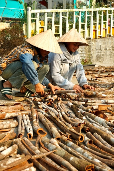 Chỉ dẫn địa lý, căn cước của nông sản