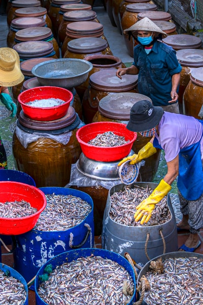 Con đường cá mắm