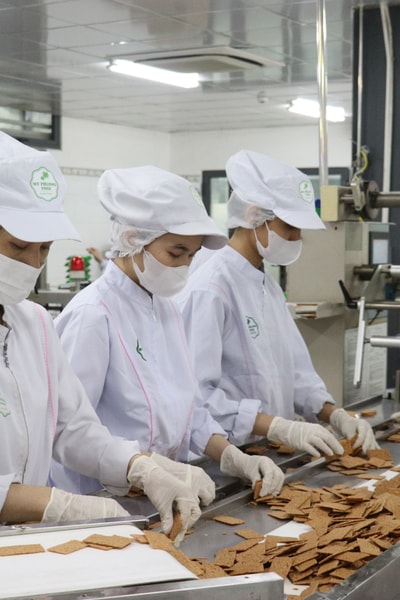 Hỗ trợ doanh nghiệp phát triển bền vững