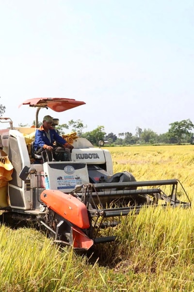 Thúc đẩy phát triển bảo hiểm nông nghiệp