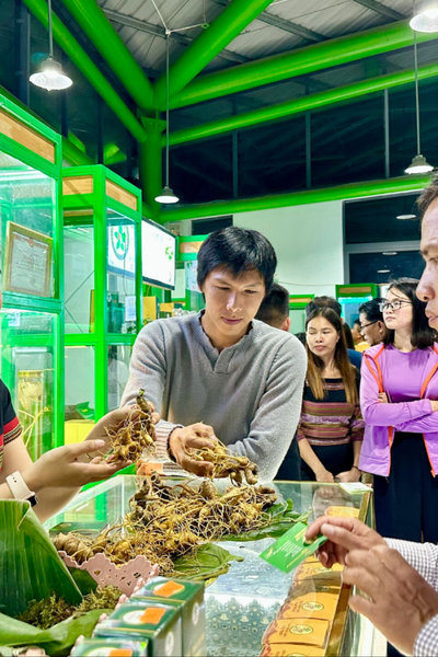 Hợp nhất các chương trình mục tiêu quốc gia: Bệ phóng cho miền núi phát triển