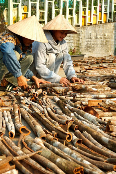 Trợ lực cho phát triển miền núi