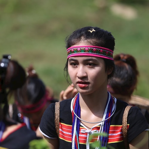 [Podcast] - Lang thang miền rừng