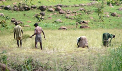 Đảm bảo bền vững an ninh nguồn nước