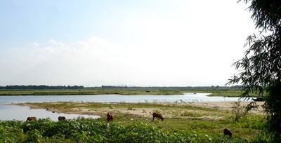 Tiếng gàu rơi và dòng sông mùa cũ