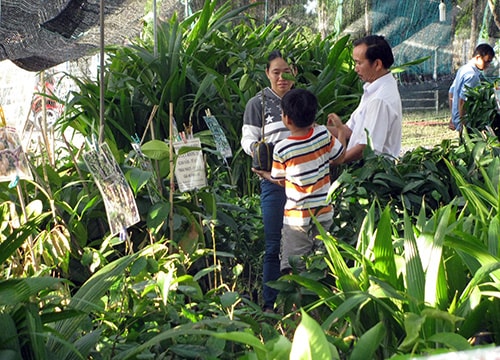 Giống, vật tư nông nghiệp tham gia hội chợ