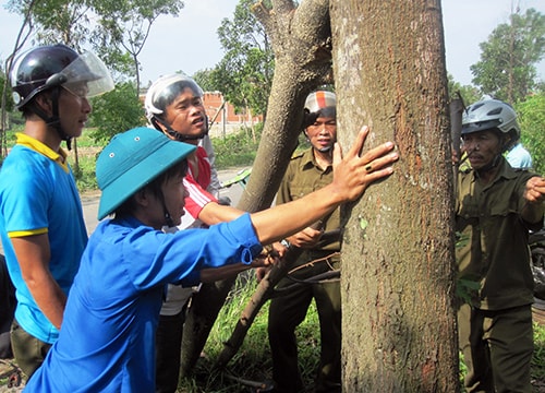 Khắc phục hậu quả bão số 11: Lực lượng xung kích vào cuộc