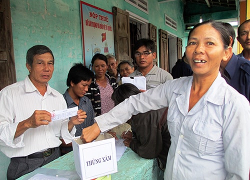 Duy Xuyên xây dựng 9 cánh đồng mẫu rộng 335 ha