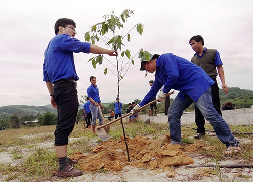 Trồng cây tưởng nhớ Đại tướng Võ Nguyên Giáp