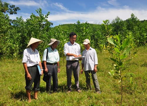 Theo dấu nghĩa hội quảng nam