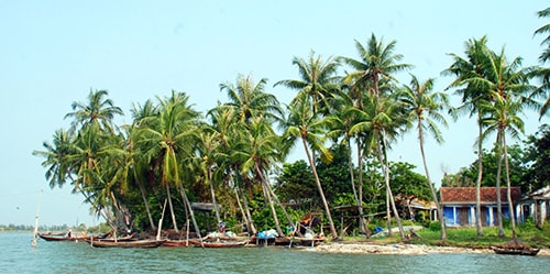 Ốc đảo Long Thạnh Tây