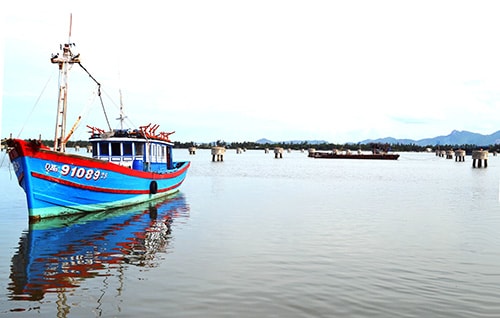 Tái cơ cấu nghề khai thác hải sản: Tổ chức lại sản xuất