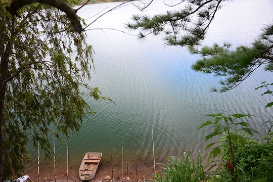 Một thoáng phố núi