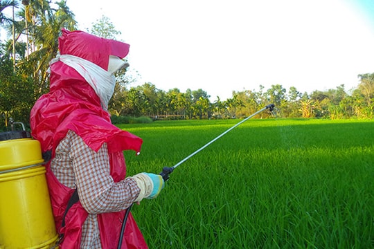 Nguy hại môi trường sinh thái