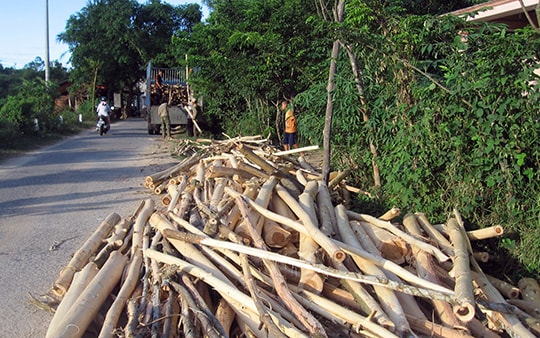 Khởi sắc một vùng quê