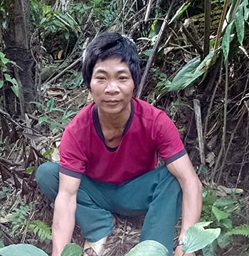 Mở rộng vùng trồng dược liệu quý