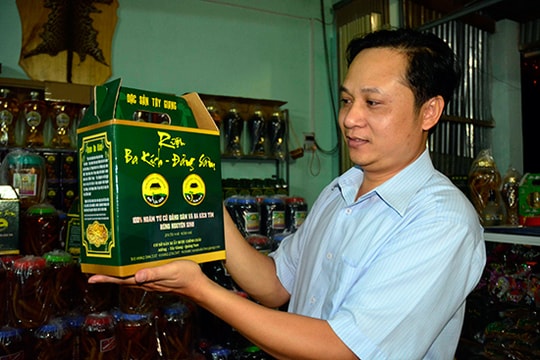 Người làm thương hiệu rượu ba kích, đẳng sâm