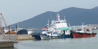 Hơn 1 tỷ đồng xây dựng một số hạng mục tại cảng Sông Hàn