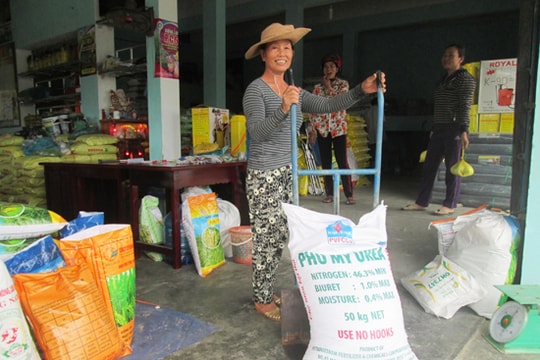 Bình ổn thị trường giống cây trồng và vật tư nông nghiệp