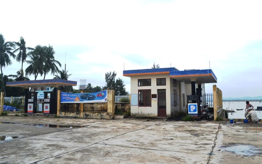 Hiu hắt cảng cá An Hòa