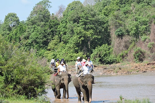 Du ngoạn Bản Đôn