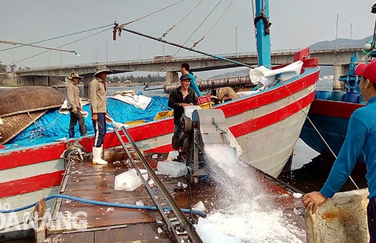 Cá chết dọc biển miền Trung: Đà Nẵng kiểm tra mẫu nước biển