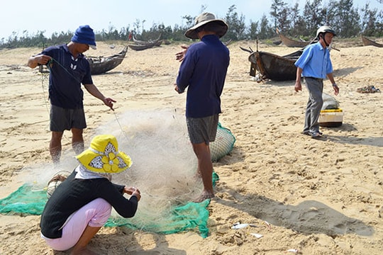 Quẩn quanh nghề cá ven bờ