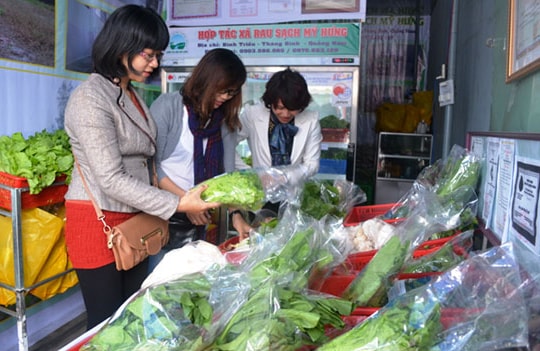 Hợp tác xã Rau sạch Mỹ Hưng: Tạo chuỗi giá trị, mở rộng thị trường