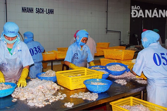 Chuẩn bị hàng Tết: Doanh nghiệp còn e dè