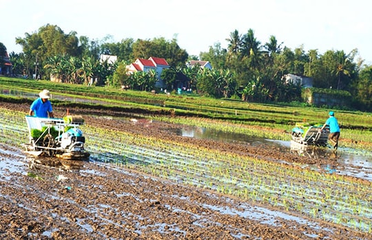 Tạo lực cho sản xuất hàng hóa lớn