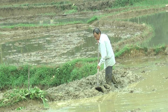 Khắc phục hậu quả lũ lụt, làm vụ đông xuân