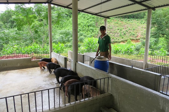 Đại Lộc tái cơ cấu nông nghiệp