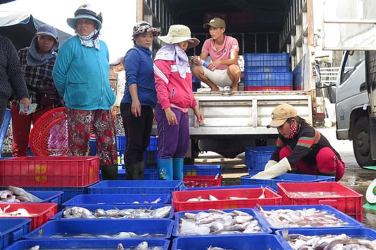 Làng nghề Quảng Nam: Khó khăn về nguyên liệu