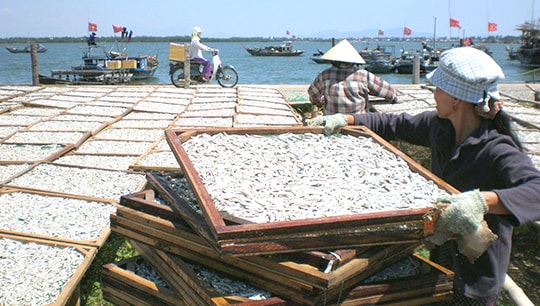 Một vùng quê, một nỗi đợi mong...